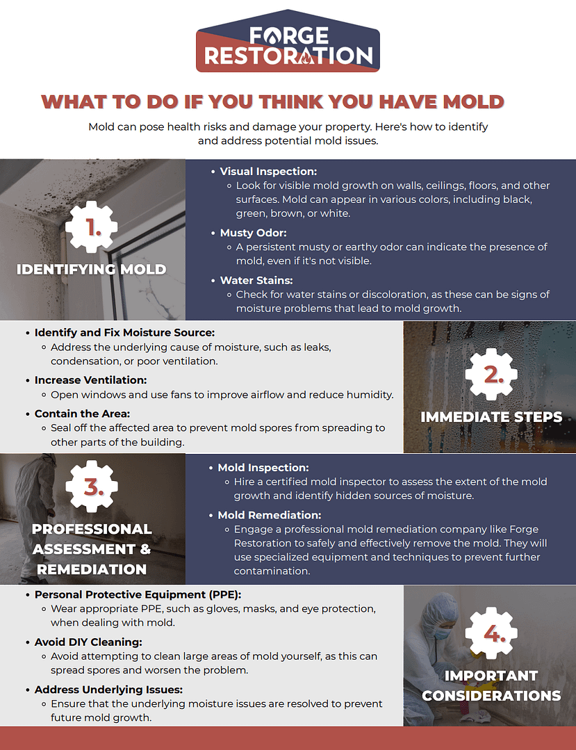 resources mold